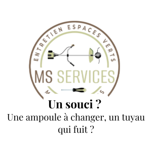 MS Services
