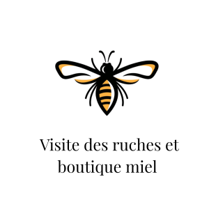 Visite de ruches